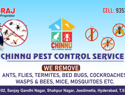 Chniinu Pest Visiting Card 520x397