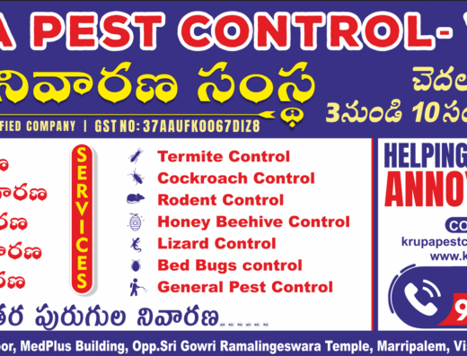 Krupa Pest 520x397
